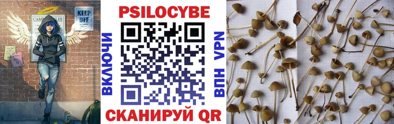 Галлюциногенные грибы GOLDEN TEACHER  Купить где  Клин 
