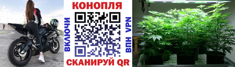 Марихуана THC 21%  Купить  Клин 